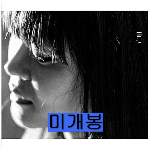 이아립 (Earip) - 망명 (미개봉, CD)